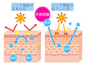 スキンケアで「強い肌」を育てる✨